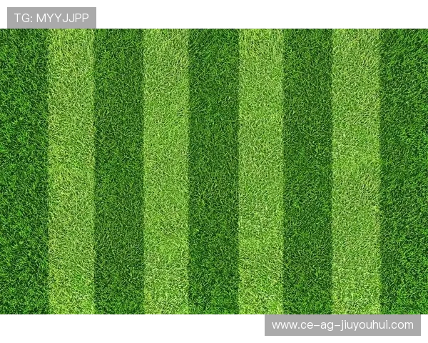 中国顶级足球草坪建设标准与绿色生态体育场发展的融合探索 中国顶级足球草坪建设标准与绿色生态体育场发展的融合探索